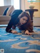 A woman laying on the floor in a hotel room.