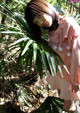 Shirouto Nana - Fotosbiaca Ebony Asstwerk P9 No.38e4c2